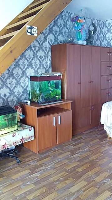 Фотографии Отели типа «постель и завтрак» Panorama-hostel г. Киев (Украина) №4 Фото Отели типа «постель и завтрак» Panorama-hostel г. Киев 4