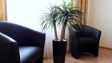 Фотографии Апартаменты Sophie Black Apartments г. Киев (Украина) №2 Фото Апартаменты Sophie Black Apartments г. Киев 2