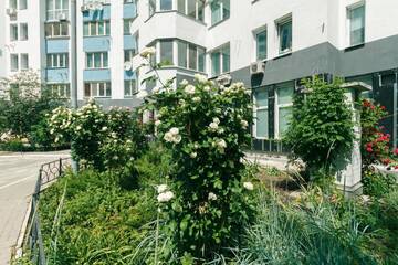 Фото номера Апартаменты Апартаменты Apartment Poznyaky-Bazhana г. Киев 9