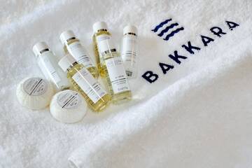 Фото номера Двухместный номер Делюкс с 1 кроватью и видом на реку Отель Отель Bakkara г. Киев 7