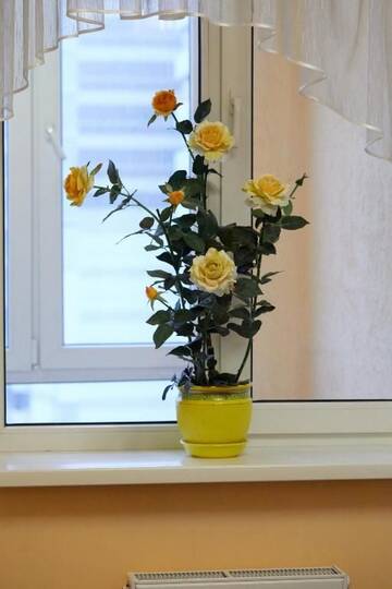 Фото номера Апартаменты с 1 спальней Апартаменты Sophie Beige Apartments г. Киев 44