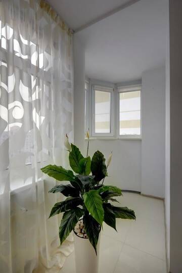 Фото номера Улучшенные апартаменты Апартаменты Sophie White Apartments г. Киев 12