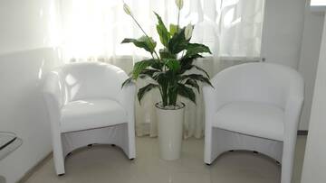 Фото номера Улучшенные апартаменты Апартаменты Sophie White Apartments г. Киев 14
