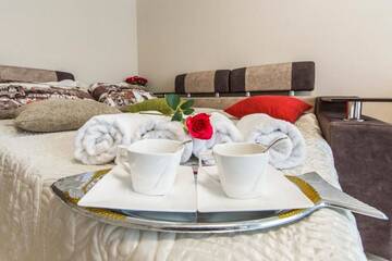 Фото номера Апартаменты с 1 спальней Апартаменты The best rest in this stylish, cozy apartament. г. Киев 48