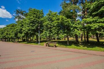 Фото номера Апартаменты с 1 спальней Апартаменты The best rest in this stylish, cozy apartament. г. Киев 68