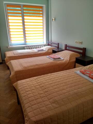 Фото номера Трехместный номер эконом-класса Отель Hotel Tsentralnoho Budynku Khudozhnyka г. Киев 4