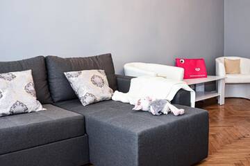 Фото номера Апартаменты с 1 спальней Апартаменты Don Papa Apartments in really center from Kyiv г. Киев 16