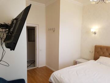 Фото номера Двухместный номер Делюкс с 1 кроватью Гостевой дом Ploscha Tolstoho Kyiv Center Luxury Hotel Room г. Киев 12