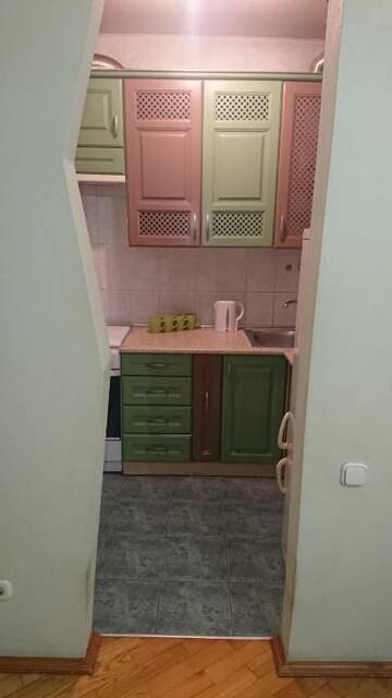 Фото номера Апартаменты-студио Апартаменты GREEN ROSE г. Киев 15