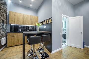 Фото номера Апартаменты с 1 спальней Апартаменты Pushkinskaya Apartments г. Киев 8
