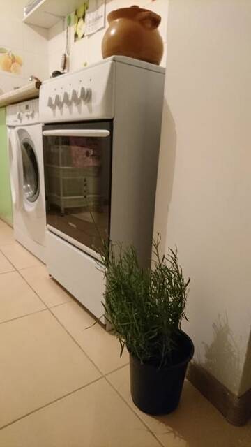 Фото номера Улучшенные апартаменты Апартаменты Comfortable Apartment on the River Bank г. Киев 55