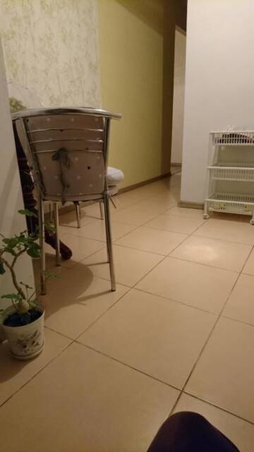 Фото номера Улучшенные апартаменты Апартаменты Comfortable Apartment on the River Bank г. Киев 54