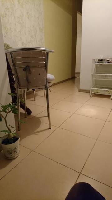 Фото номера Улучшенные апартаменты Апартаменты Comfortable Apartment on the River Bank г. Киев 29
