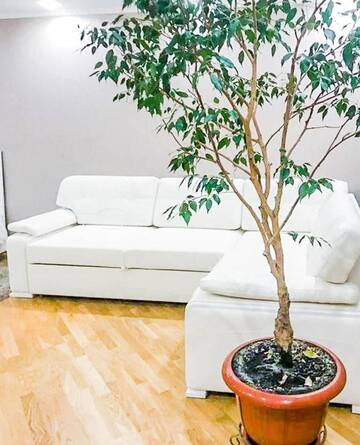 Фото номера Апартаменты Апартаменты Rent-Kiev Apartment on LuxKlavdievskaya г. Киев 39