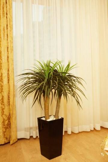 Фото номера Улучшенные апартаменты Апартаменты Sophie Black Apartments г. Киев 71