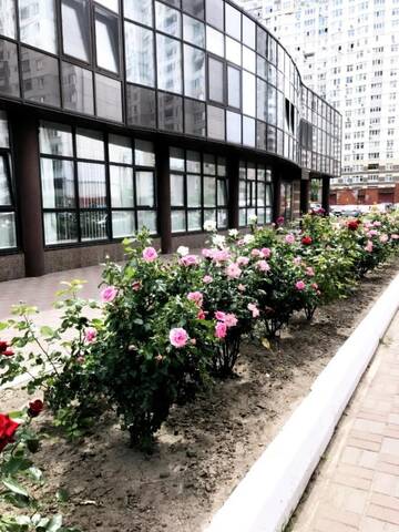 Фото номера Улучшенные апартаменты Апартаменты Sophie Black Apartments г. Киев 41