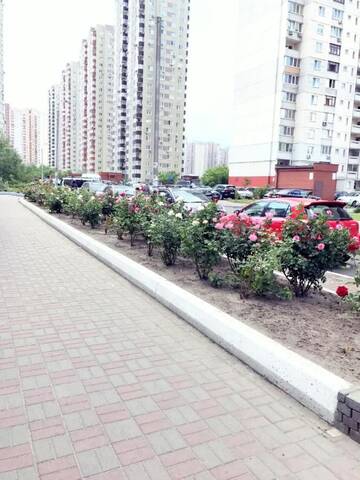 Фото номера Улучшенные апартаменты Апартаменты Sophie Black Apartments г. Киев 43