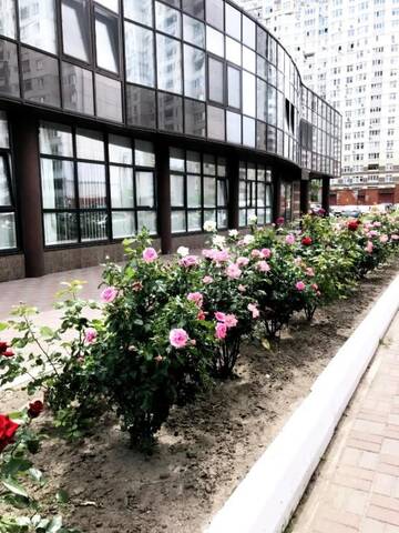 Фото номера Улучшенные апартаменты Апартаменты Sophie Black Apartments г. Киев 84