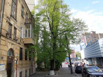 Фото номера Апартаменты с 1 спальней Апартаменты 1 stop from Railway Station г. Киев 18