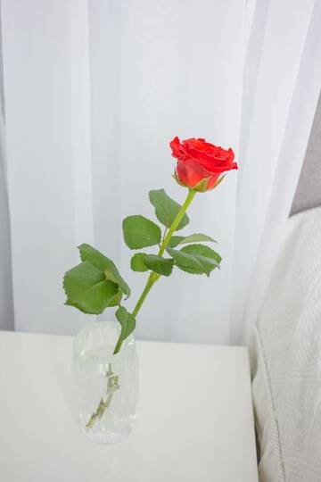 Фото номера Апартаменты с 1 спальней Апартаменты Charming studio in the center г. Киев 16