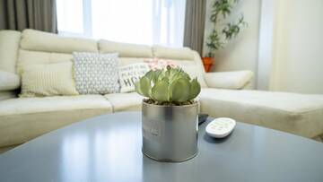 Фото номера Апартаменты с 1 спальней Апартаменты Eco studio г. Киев 11
