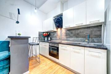Фото номера Апартаменты с 1 спальней Апартаменты Apartments near Kiev Botanical Garden ym.Hryshka г. Киев 12